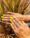 Manicure em Todos os Santos, Montes Claros | Sil Studio's Fashion