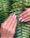 Manicure em Todos os Santos, Montes Claros | Sil Studio's Fashion