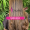 Capa Google (11)